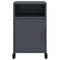 vidaXL Bedside Cabinets 2 pcs Anthracite 36x39x59 cm Steel