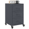 vidaXL Bedside Cabinet Anthracite 36x39x59 cm Steel