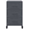 vidaXL Bedside Cabinet Anthracite 36x39x59 cm Steel