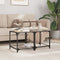 vidaXL Coffee Tables with Transparent Glass Top 2 pcs 40x40x40 cm Steel
