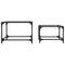 vidaXL Nesting Coffee Tables 2 pcs with Transparent Glass Top Steel