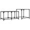 vidaXL Nesting Coffee Tables 2 pcs with Black Glass Top Steel