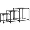 vidaXL Nesting Coffee Tables 3 pcs with Black Glass Top Steel