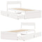 vidaXL Bed Frame without Mattress White 100x200 cm Solid Wood Pine