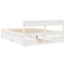 vidaXL Bed Frame without Mattress White 160x200 cm Solid Wood Pine
