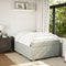 vidaXL Box Spring Bed with Mattress Light Grey 120x200 cm Velvet