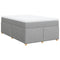 vidaXL Box Spring Bed with Mattress Light Grey 120x200 cm Fabric