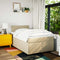vidaXL Box Spring Bed with Mattress Cream 120x200 cm Fabric