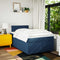 vidaXL Box Spring Bed with Mattress Blue 120x200 cm Fabric