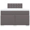 vidaXL Box Spring Bed with Mattress Grey 120x190 cm Faux Leather