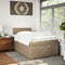 vidaXL Box Spring Bed with Mattress Cappuccino 120x190 cm Faux Leather
