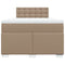 vidaXL Box Spring Bed with Mattress Cappuccino 120x190 cm Faux Leather