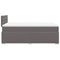 vidaXL Box Spring Bed with Mattress Grey 120x200 cm Faux Leather