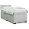 vidaXL Box Spring Bed with Mattress Light Grey 90x190 cm Velvet