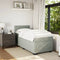 vidaXL Box Spring Bed with Mattress Light Grey 90x200 cm Velvet