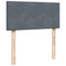 vidaXL Box Spring Bed with Mattress Dark Grey 100x200 cm Velvet