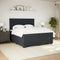 vidaXL Box Spring Bed with Mattress Black 200x200 cm Velvet