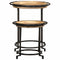 vidaXL 2 Piece Side Table Set Solid Wood Mango