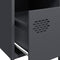 vidaXL Bedside Cabinets 2 pcs Anthracite 35x39x43.5 cm Steel