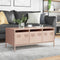vidaXL Coffee Table Pink 101.5x50x43.5 cm Cold-rolled Steel