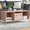 vidaXL Coffee Table Pink 101.5x50x43.5 cm Cold-rolled Steel