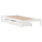 vidaXL Bed Frame without Mattress White 100x200 cm Solid Wood Pine