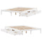 vidaXL Bed Frame without Mattress White 150x200 cm King Size Solid Wood Pine