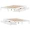 vidaXL Bed Frame without Mattress White 160x200 cm Solid Wood Pine