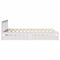 vidaXL Bed Frame without Mattress White 135x190 cm Double Solid Wood Pine