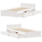 vidaXL Bed Frame without Mattress White 90x200 cm Solid Wood Pine