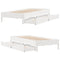 vidaXL Bed Frame without Mattress White 90x190 cm Single Solid Wood Pine