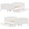 vidaXL Bed Frame without Mattress White 135x190 cm Double Solid Wood Pine