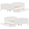 vidaXL Bed Frame without Mattress White 120x190 cm Small Double Solid Wood Pine