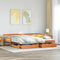 vidaXL Daybed with Trundle&Drawers without Mattress Wax Brown 90x190 cm Single