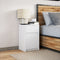 vidaXL Bedside Cabinet with LED Lights White Engineered Wood