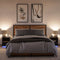 vidaXL Bedside Cabinets with LED Lights 2 pcs Black Engineered Wood