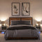 vidaXL Bedside Cabinets with LED Lights 2 pcs Concrete Grey Engineered Wood
