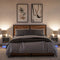 vidaXL Bedside Cabinets with LED Lights 2 pcs Grey Sonoma Engineered Wood