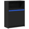 vidaXL Sideboard with LED Black 72x34x100 cm Engineered Wood