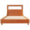 vidaXL Bed Frame without Mattress Wax Brown 100x200 cm Solid Wood Pine