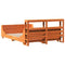 vidaXL Bed Frame without Mattress Wax Brown 150x200 cm King Size Solid Wood Pine