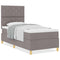 vidaXL Box Spring Bed with Headboard Taupe 100 x 200 cm Fabric