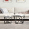 vidaXL 2 Piece Side Table Set Grey Sonoma Engineered Wood