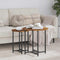 vidaXL Side Table Set of 2 - Smoked Oak & Metal