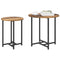 vidaXL Side Table Set of 2 - Vintage Wood, Engineered Wood, and Metal
