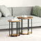 vidaXL Side Table Set of 2 - Old Wood and Metal