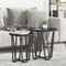 vidaXL Side Table Set of 2 - Black Oak MDF and Metal
