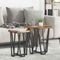 vidaXL Side Table Set - 2 Pieces, Smoked Oak, Engineered Wood and Metal