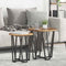 vidaXL Side Table Set - 2 Pieces, Rustic Wood Look, Metal Base