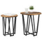 vidaXL Side Table Set - 2 Pieces, Rustic Wood Look, Metal Base